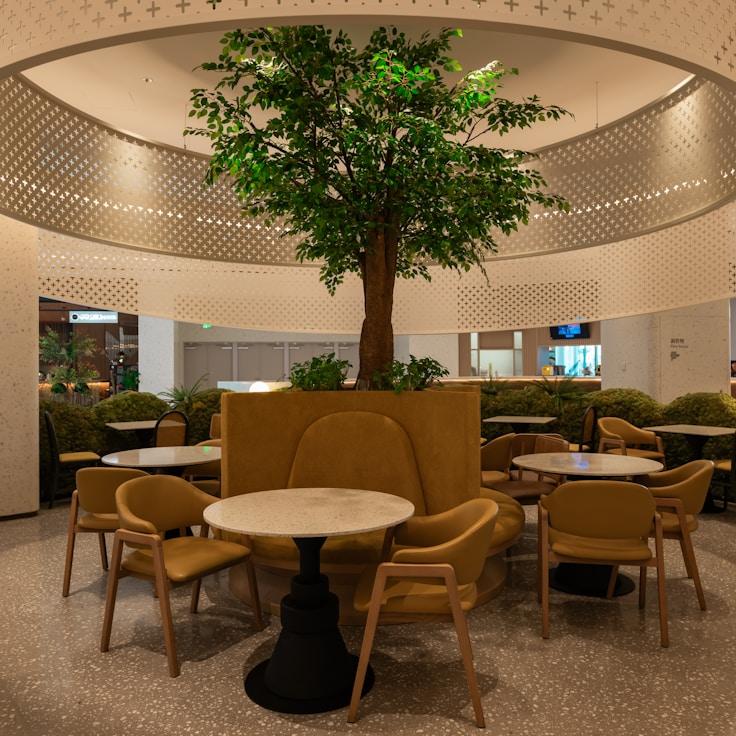 School choices for expat families in Barcelona, Spain